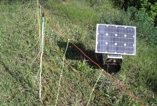 Un pastor eléctrico y dos redes unidas dan para unos 500 m2 de pasto, y son muy flexibles 